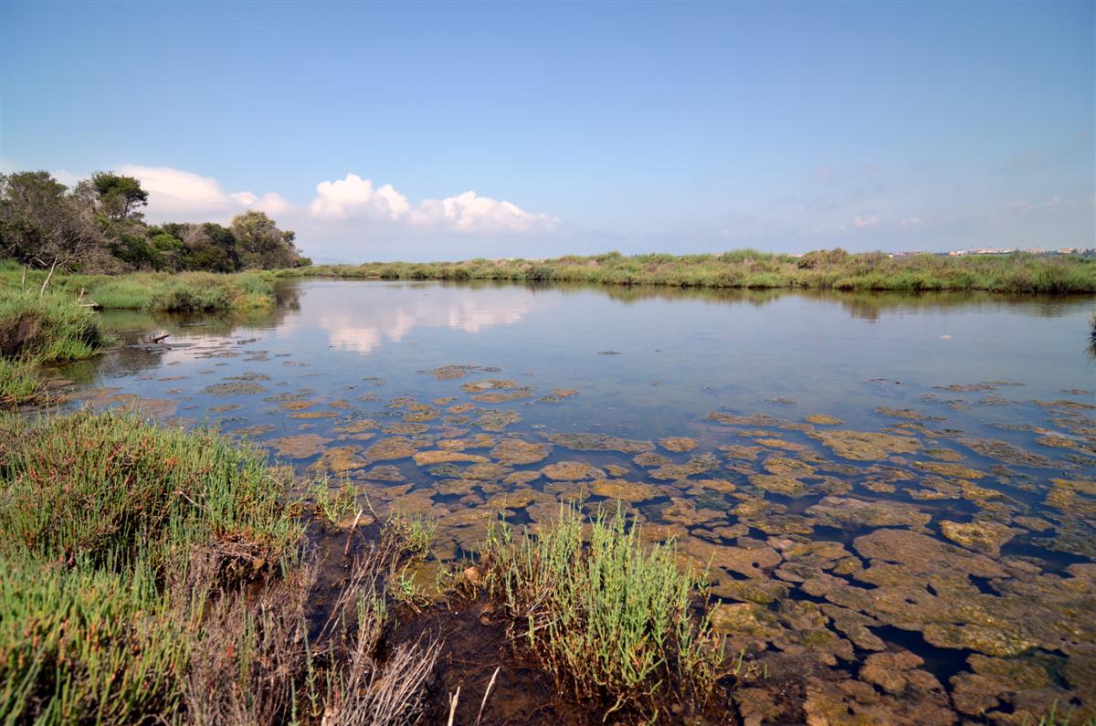 Feniglia - Laguna di Orbetello